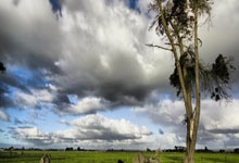 【原创】足彩推荐单:周四001欧联杯 霍芬海姆VS热刺.