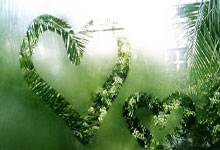 曼聯鋒線兩王牌無緣死鬥萊比錫.