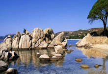 21-22賽季英超聯賽第9輪比賽集錦.